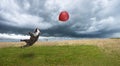 Funny Bulldog, Dog Flying, Balloon