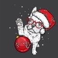 Funny bulldog with glasses and hat, with a christmas ball. New Year`s and Christmas.