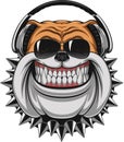 Funny Bulldog