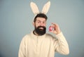 Funny bunny with beard and mustache. Join celebration. Having fun. Grinning bearded man wear silly bunny ears. Easter