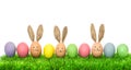 Funny bunny easter eggs. Holidays banner Royalty Free Stock Photo