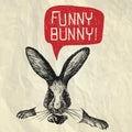 Funny Bunny! - Happy Easter card