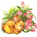Funny bunny illustration. watercolor drawing