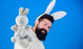 Funny bunny man with beard and mustache. Easter symbol concept. Guy bearded hipster cute gentle bunny long ears blue