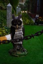 Funny Burrowing owl image hd