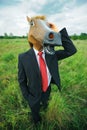 Funny businessman horse on field full of grass