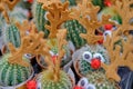Funny cactus with deer eyes and nose on sale in a flower shop for the new year