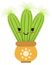 Funny cactus. Green houseplant. Home cacti character