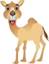 Funny camel cartoon