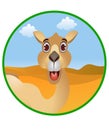 Funny camel cartoon Royalty Free Stock Photo
