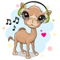 Funny camel with headphones on a blue background Royalty Free Stock Photo