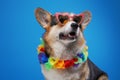 Funny canine pet with sunglasses and hawaiin wreath