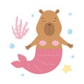 Funny capybara mermaid diving under the sea Royalty Free Stock Photo