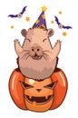 Funny capybara sit in pumpkin