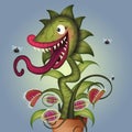 Funny carnivorous plant Royalty Free Stock Photo