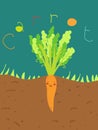 Funny carrot