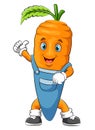 Funny carrot cartoon character