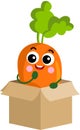 Funny carrot mascot in cardboard box Royalty Free Stock Photo