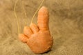 Funny carrots on a background of old burlap for text