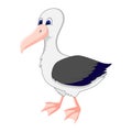 Funny cartoon albatross.