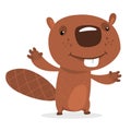 Funny cartoon beaver waving with his hands. Fluffy beaver character with big teeth presenting. Brown beaver mascot Royalty Free Stock Photo