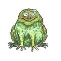 Funny cartoon big green toad with pimples, big eyes and smile. Frog illustration with markers isolated on white background. For Royalty Free Stock Photo