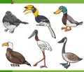 Funny cartoon birds species animal characters set