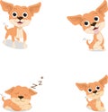 Funny cartoon brown chihuahua dog in various pose Royalty Free Stock Photo