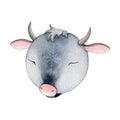 Funny cartoon bull or cow watercolor illustration. Hand drawn cute zodiac symbol of 2021new year with snowflake. Royalty Free Stock Photo