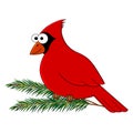 Funny cartoon cardinal bird.