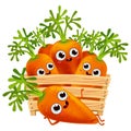 Funny cartoon carrots set in a wooden box. Royalty Free Stock Photo