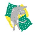 Funny cartoon cat relax in pillows. Modern flat style pet vector illustration Royalty Free Stock Photo