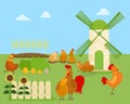 Funny cartoon chicken, hen and rooster in various poses, vector illustration with green rural background and windmill