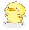 Funny cartoon chicks