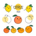 Funny cartoon citrus fruit characters with different emotions on the face. Cute lemon, orange, mandarin, grapefruit characters. Co