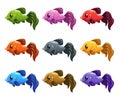Funny cartoon colorful fishes set. Royalty Free Stock Photo