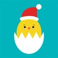 Funny cartoon cute chicken in santa s hat isolated on white background. Vector illustration Royalty Free Stock Photo