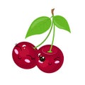 Funny cartoon cute ripe cherry. Funny face vector