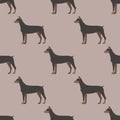 Funny cartoon doberman dog character bread seamless pattern puppy pet animal doggy vector illustration.