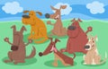 Funny cartoon dogs animal characters group Royalty Free Stock Photo