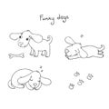 Funny cartoon dogs with a bone