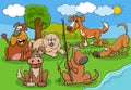 Funny cartoon dogs and puppies characters group by the river