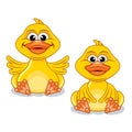 Funny Cartoon Duck