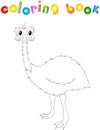 Funny cartoon emu. Coloring book Royalty Free Stock Photo