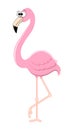 Funny cartoon flamingo