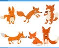 funny cartoon foxes wild animal characters set