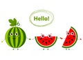 Funny Cartoon fruits with eyes in flat style. Watermelon Royalty Free Stock Photo