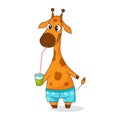 Funny cute giraffe with soft drink