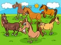 Funny cartoon horses farm animals group