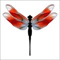 Funny cartoon illustration of dragonfly. Bright Dragonfly flutters.